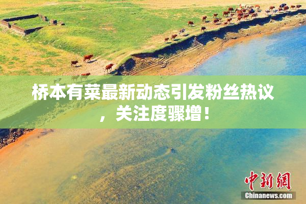 桥本有菜最新动态引发粉丝热议，关注度骤增！