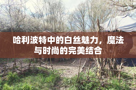 哈利波特中的白丝魅力，魔法与时尚的完美结合
