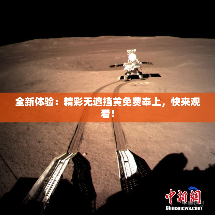 全新体验：精彩无遮挡黄免费奉上，快来观看！
