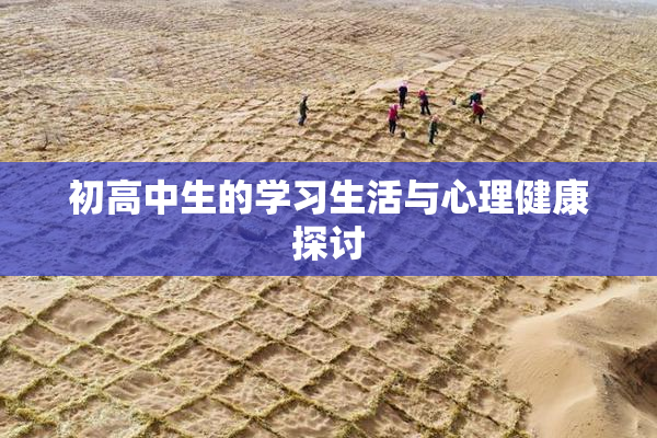 初高中生的学习生活与心理健康探讨