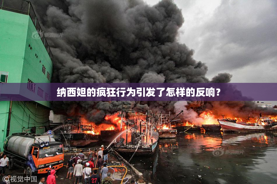 纳西妲的疯狂行为引发了怎样的反响？