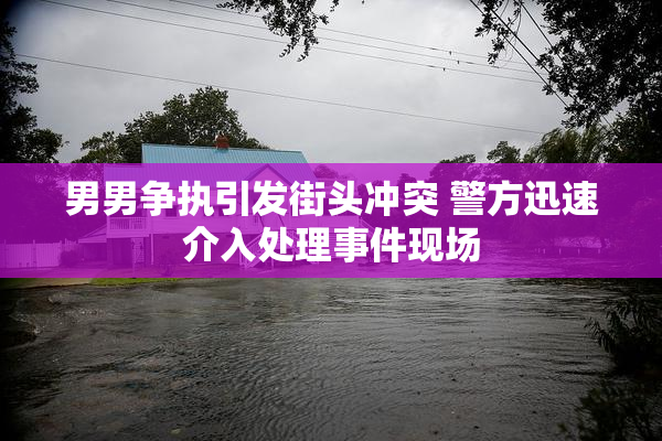 男男争执引发街头冲突 警方迅速介入处理事件现场