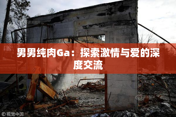 男男纯肉Ga：探索激情与爱的深度交流