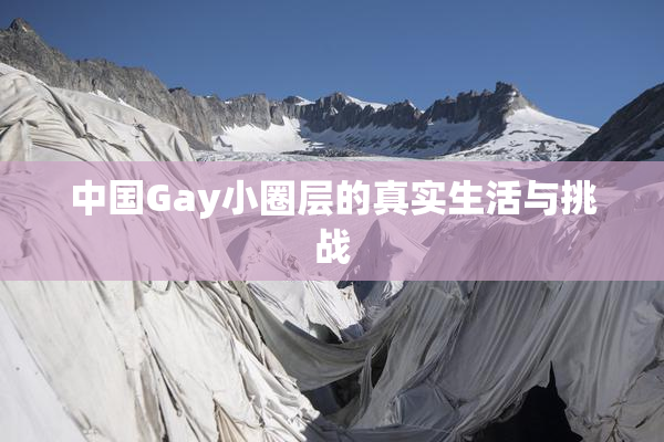 中国Gay小圈层的真实生活与挑战