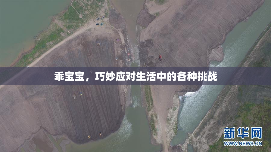 乖宝宝，巧妙应对生活中的各种挑战