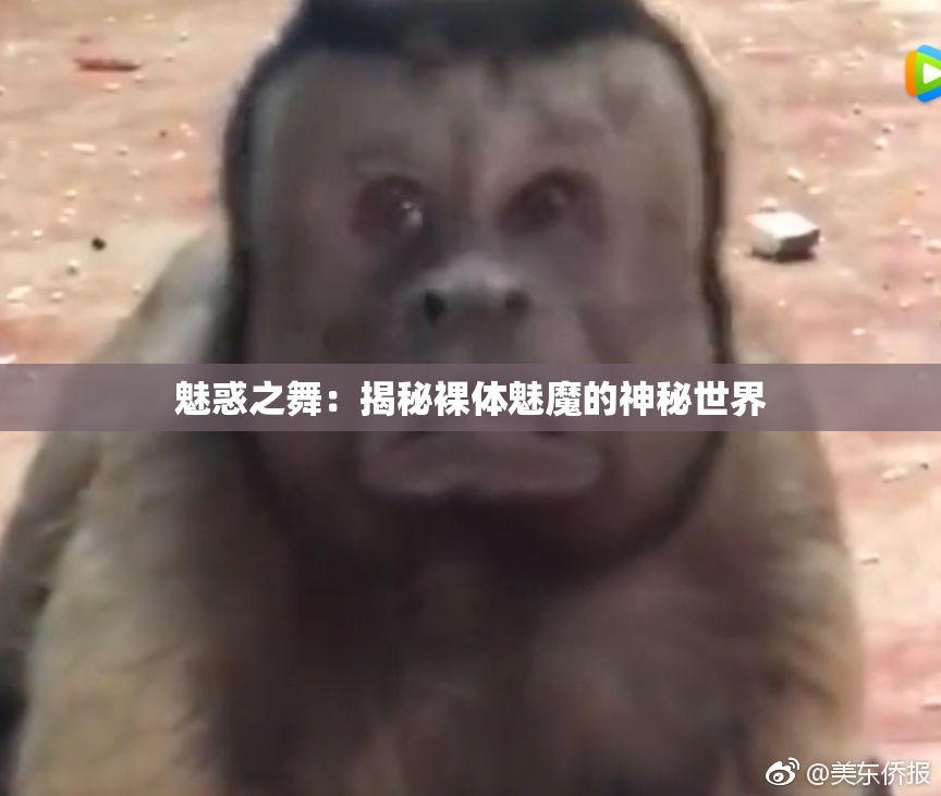 魅惑之舞：揭秘裸体魅魔的神秘世界