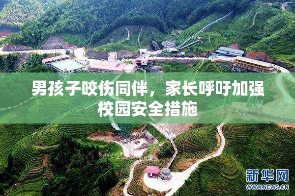 男孩子咬伤同伴，家长呼吁加强校园安全措施