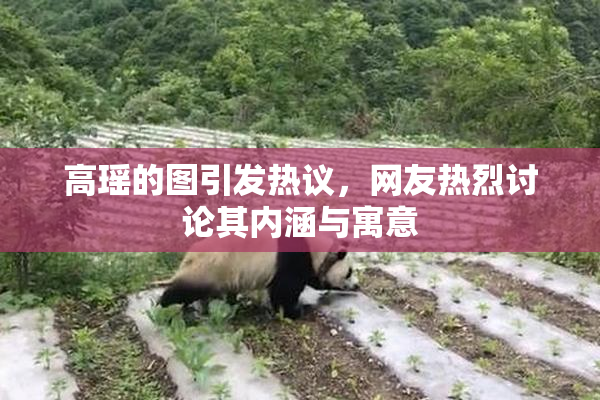 高瑶的图引发热议，网友热烈讨论其内涵与寓意