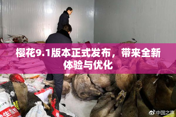 樱花9.1版本正式发布，带来全新体验与优化
