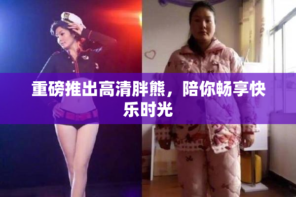 重磅推出高清胖熊，陪你畅享快乐时光