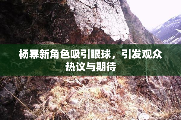 杨幂新角色吸引眼球，引发观众热议与期待