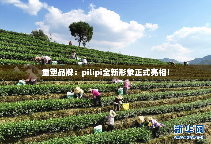 重塑品牌：pilipi全新形象正式亮相！
