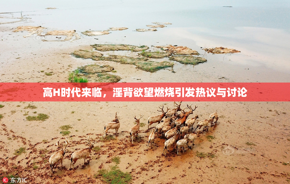 高H时代来临，淫背欲望燃烧引发热议与讨论