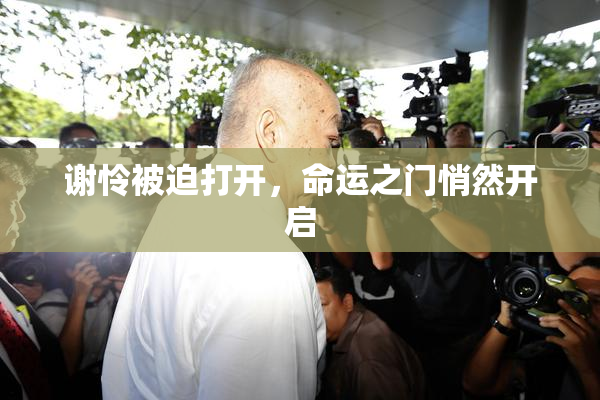 谢怜被迫打开，命运之门悄然开启