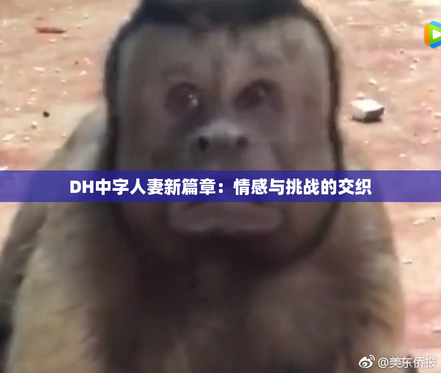 DH中字人妻新篇章：情感与挑战的交织