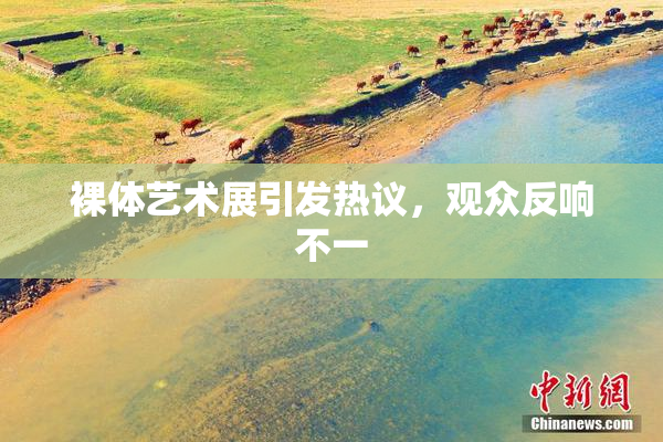 裸体艺术展引发热议，观众反响不一