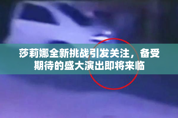 莎莉娜全新挑战引发关注，备受期待的盛大演出即将来临