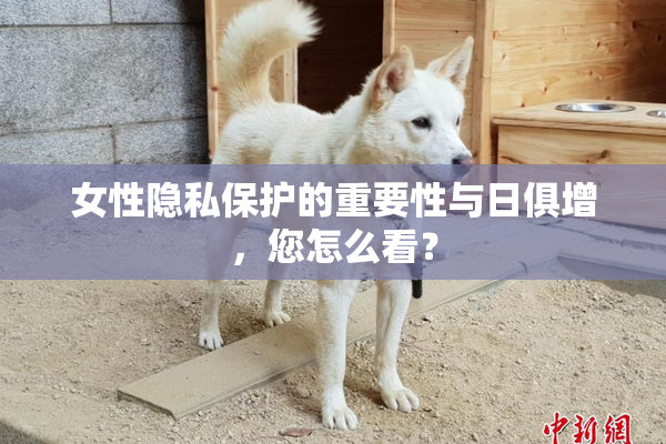 女性隐私保护的重要性与日俱增，您怎么看？