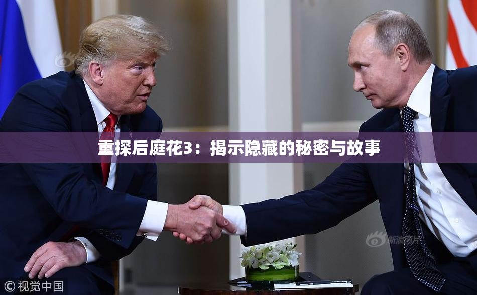 重探后庭花3：揭示隐藏的秘密与故事