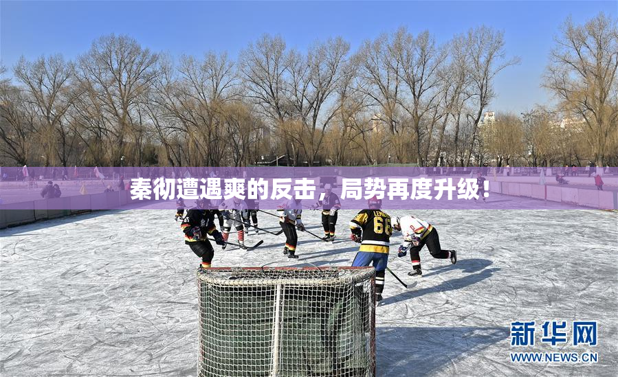 秦彻遭遇爽的反击，局势再度升级！