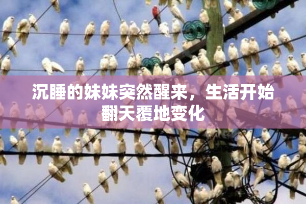 沉睡的妹妹突然醒来，生活开始翻天覆地变化