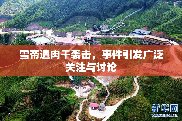 雪帝遭肉干袭击，事件引发广泛关注与讨论