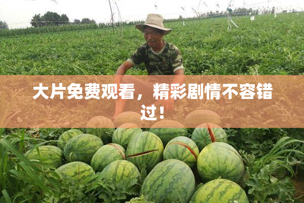 大片免费观看，精彩剧情不容错过！