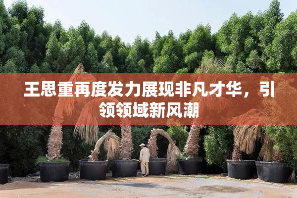 王思重再度发力展现非凡才华，引领领域新风潮