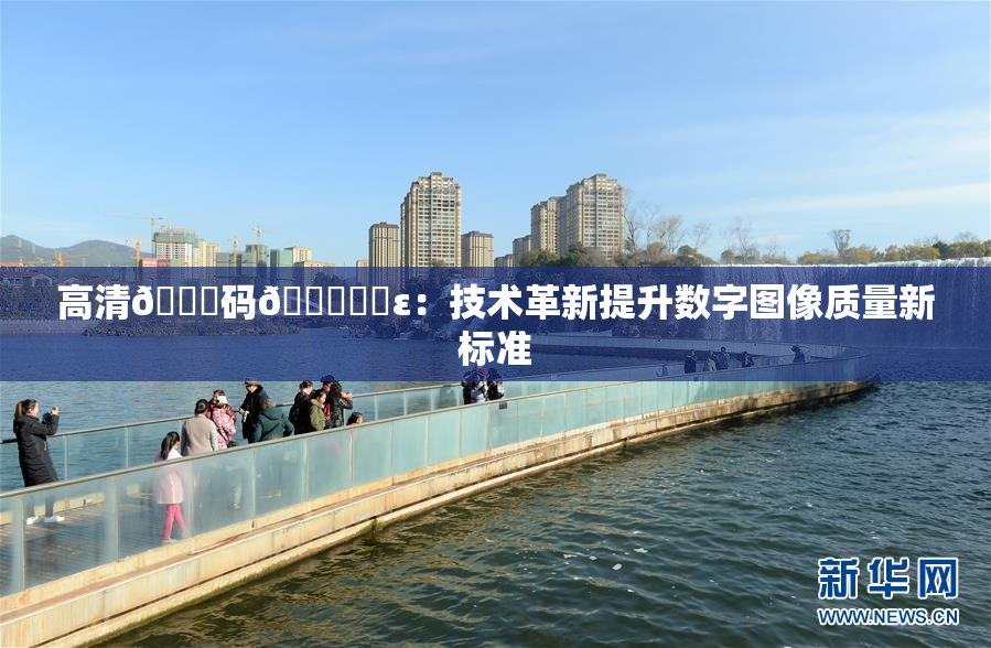 高清🈚码🔞❌‌ε：技术革新提升数字图像质量新标准