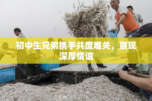 初中生兄弟携手共度难关，展现深厚情谊
