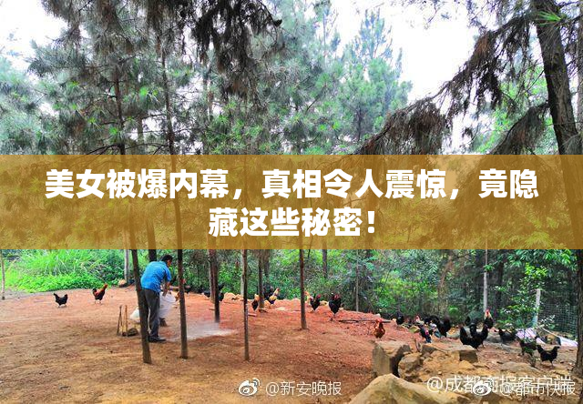 美女被爆内幕，真相令人震惊，竟隐藏这些秘密！