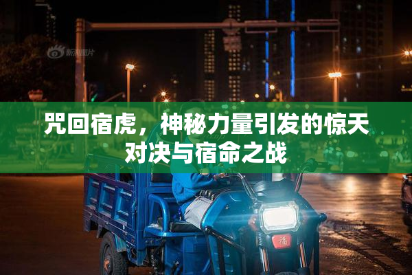 咒回宿虎，神秘力量引发的惊天对决与宿命之战