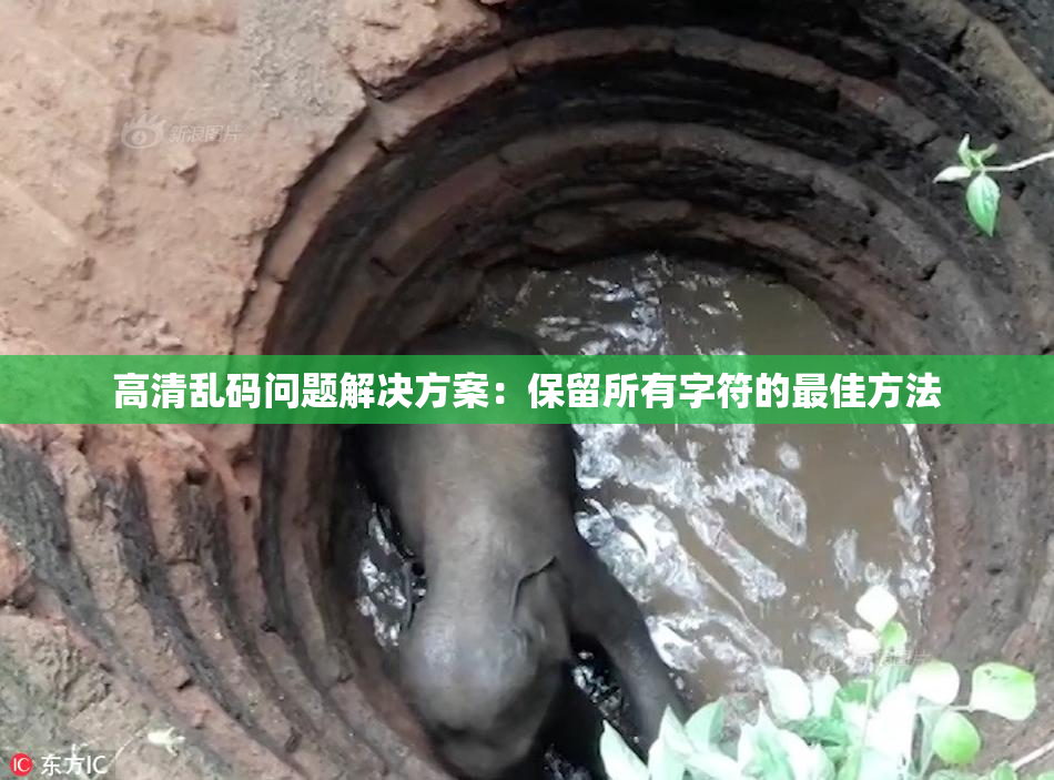 高清乱码问题解决方案：保留所有字符的最佳方法