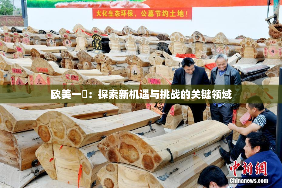 欧美一級：探索新机遇与挑战的关键领域