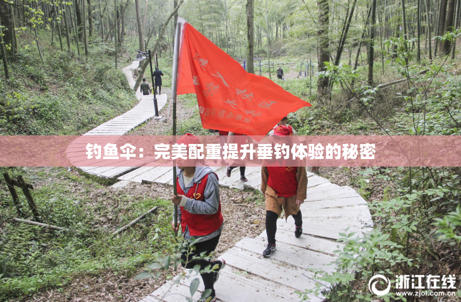 钓鱼伞：完美配重提升垂钓体验的秘密