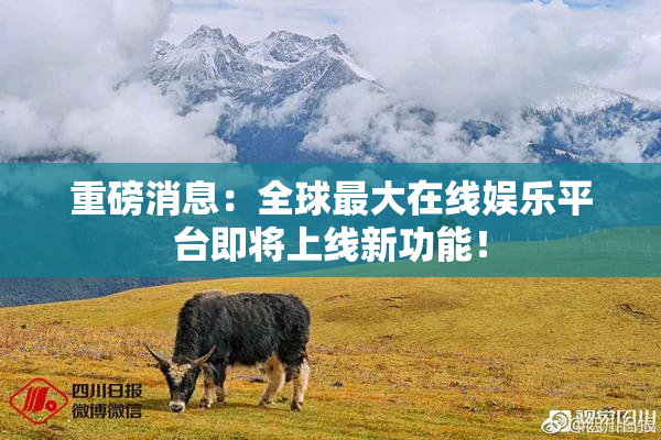 重磅消息：全球最大在线娱乐平台即将上线新功能！