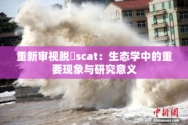 重新审视脱糞scat：生态学中的重要现象与研究意义