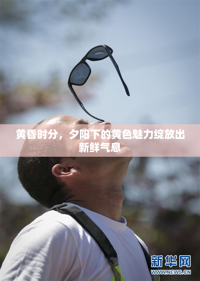 黄昏时分，夕阳下的黄色魅力绽放出新鲜气息