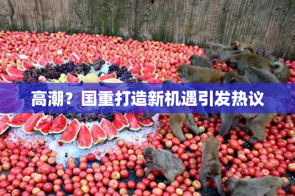 高潮？国重打造新机遇引发热议