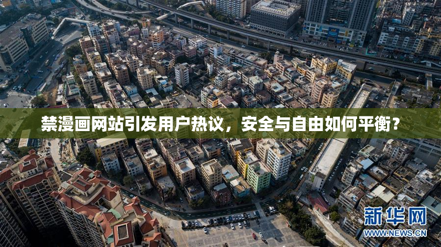 禁漫画网站引发用户热议，安全与自由如何平衡？