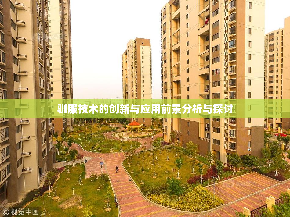 驯服技术的创新与应用前景分析与探讨