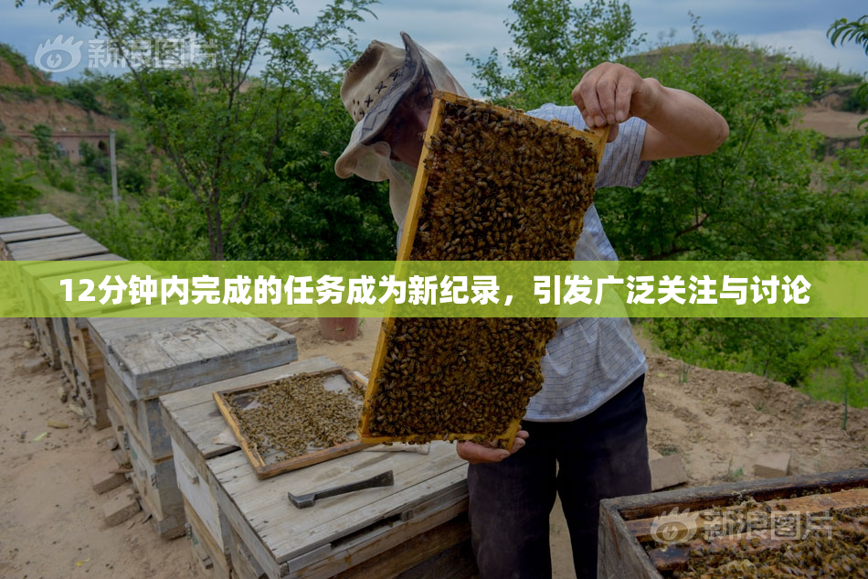 12分钟内完成的任务成为新纪录，引发广泛关注与讨论