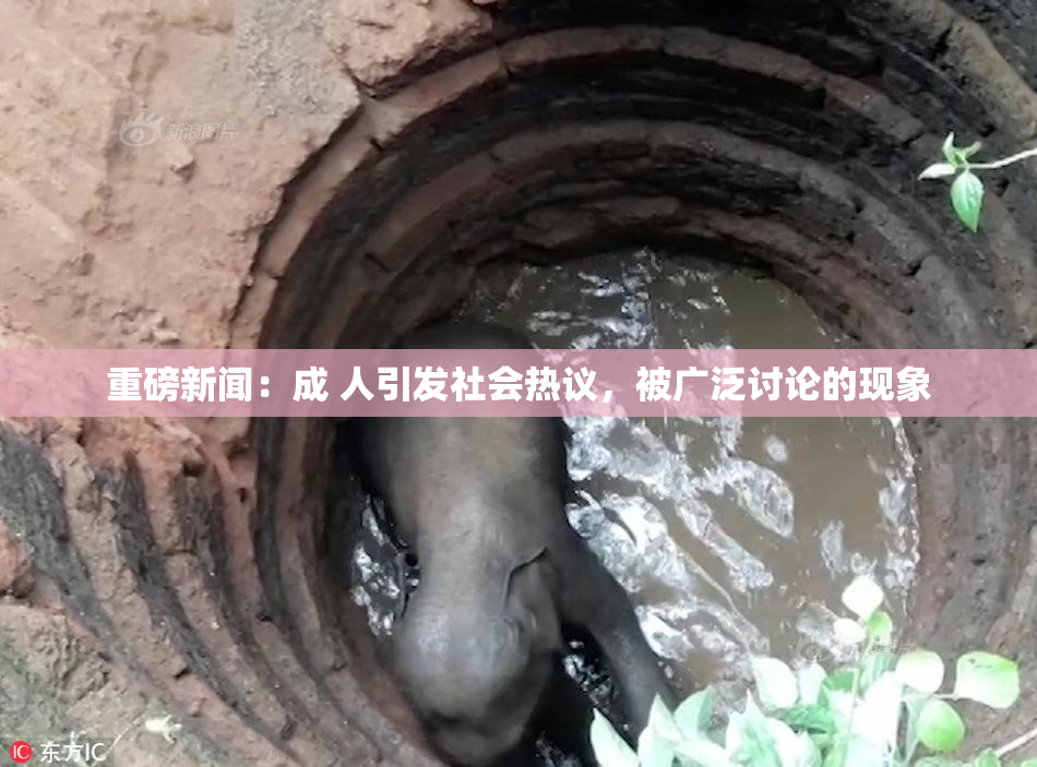 重磅新闻：成 人引发社会热议，被广泛讨论的现象