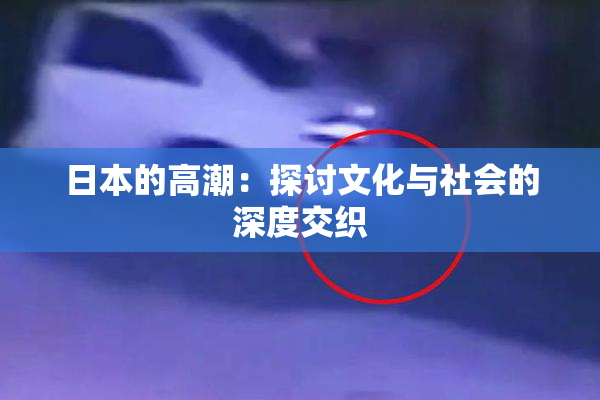 日本的高潮：探讨文化与社会的深度交织