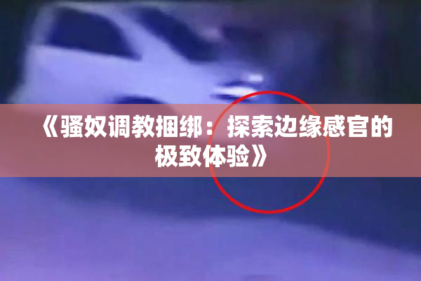 《骚奴调教捆绑：探索边缘感官的极致体验》