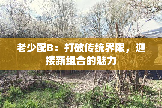 老少配B：打破传统界限，迎接新组合的魅力