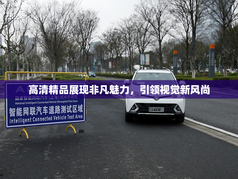 高清精品展现非凡魅力，引领视觉新风尚
