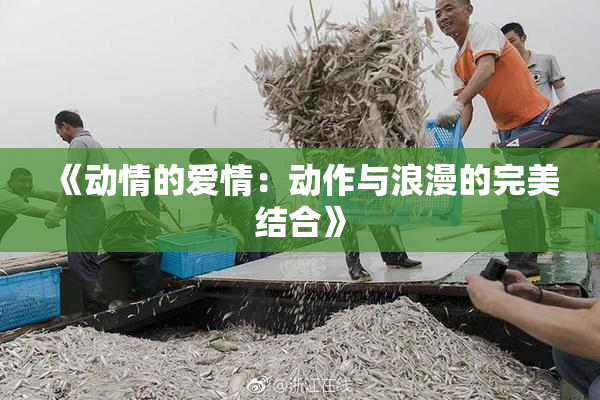 《动情的爱情：动作与浪漫的完美结合》