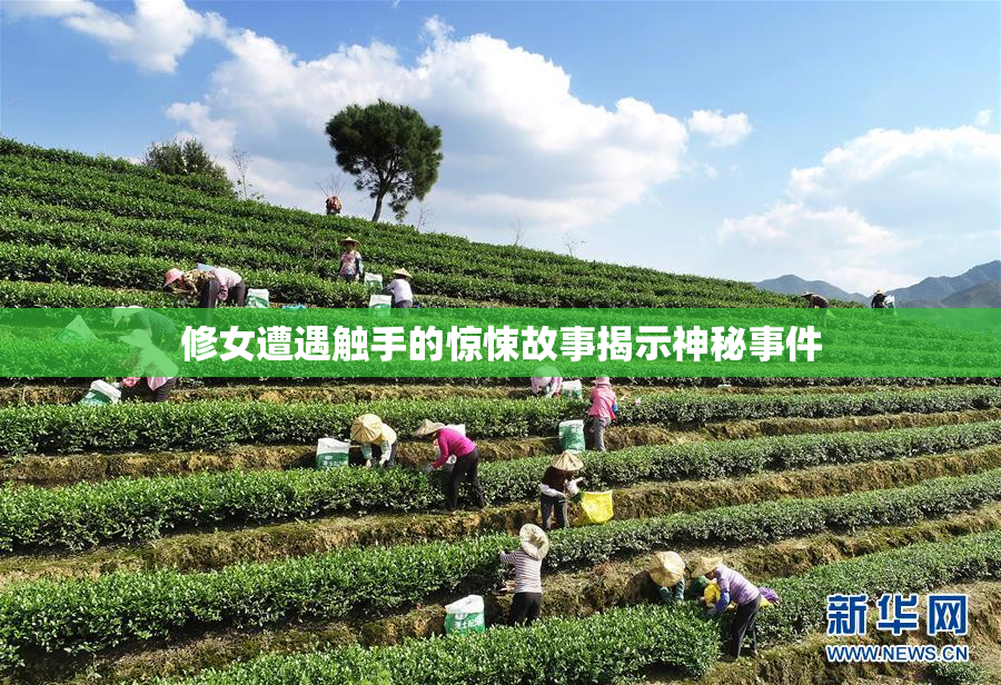 修女遭遇触手的惊悚故事揭示神秘事件