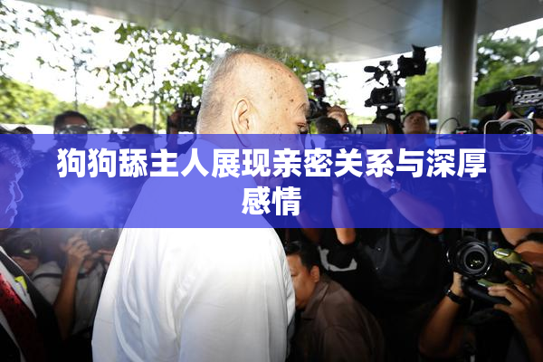 狗狗舔主人展现亲密关系与深厚感情